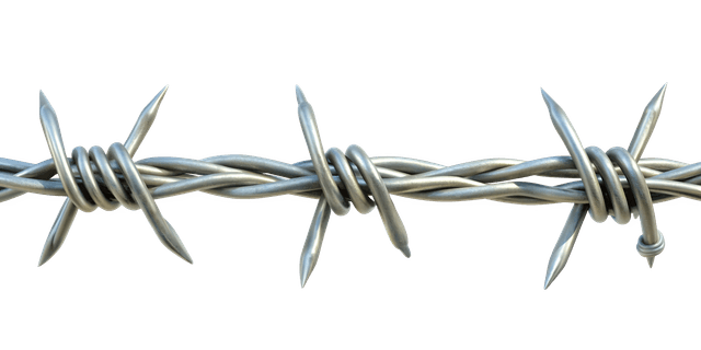 Barbed wire element